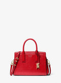 Michael Kors Laila Small Metallic Signature Signature Logo Satchel